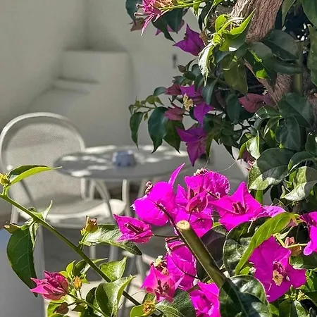 Mea - Aeolian Charme Hotel Lipari (Isola Lipari)