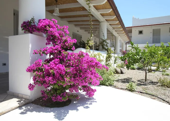 Mea - Aeolian Charme